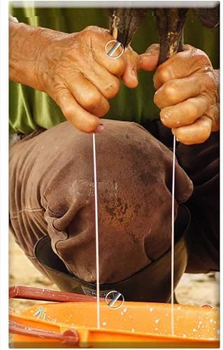 Single-Gang Blank Wall Plate Cover - The Field Nature India Quindio Colombia