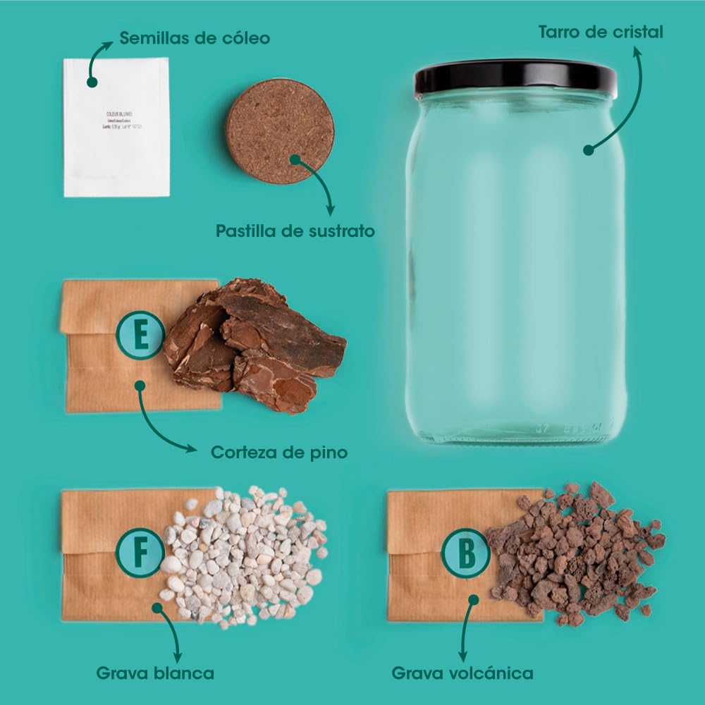 Kit Terrarium | CREA Tu Propio Terrario en Casa | Mini Jardín con Plantas y Ecosistema Natural | Regalo Original y Decorativo | Resetea