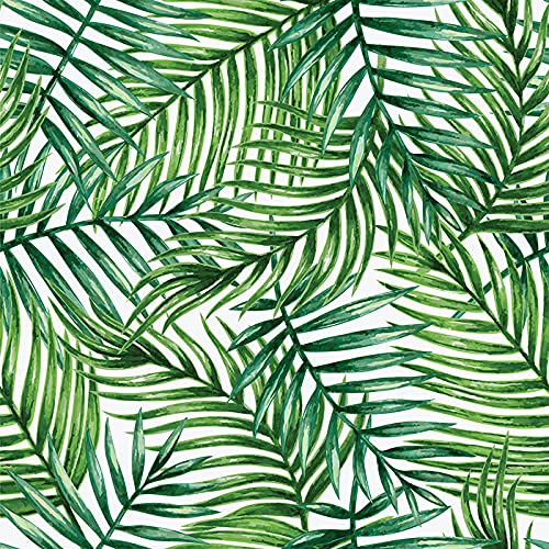 Papier peint chambre et cuisine anti-reflet motif palmier tropical 250cm - 3