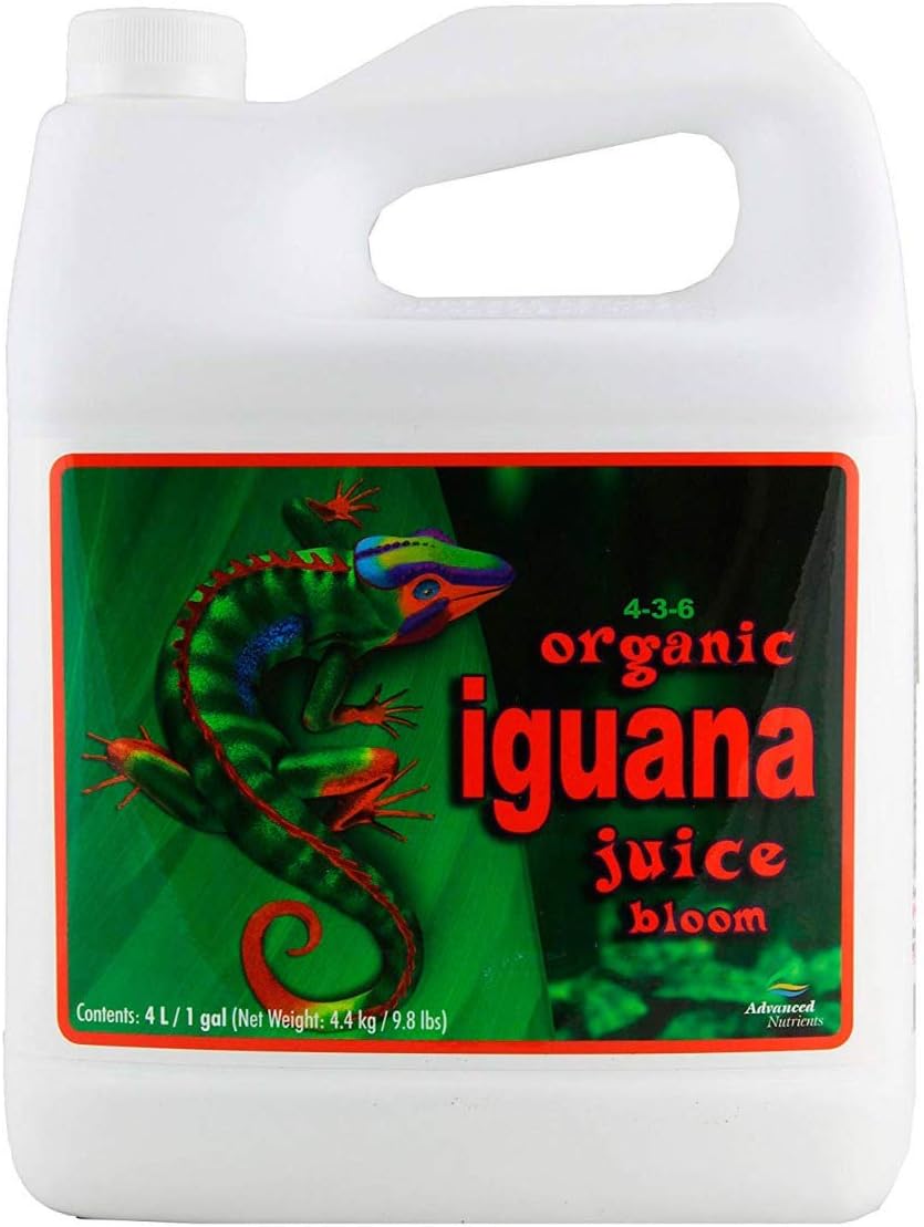 Iguana juice organic bloom