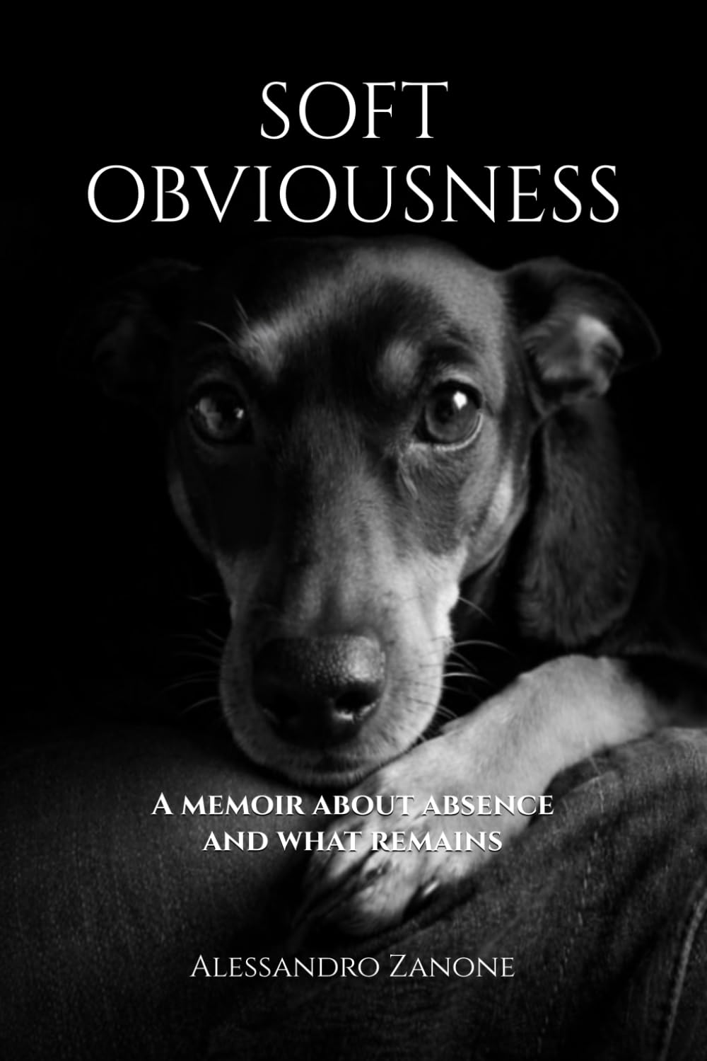 Soft Obviousness: A memoir about absence and what remains