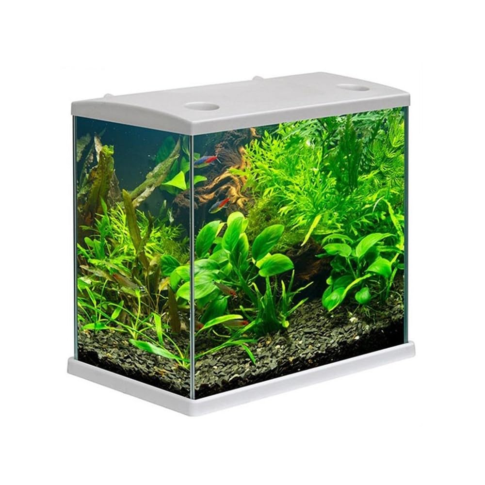 Aquariumline Cleo Plus 22,5L - Aquarium Complet avec Filtre Intérieur - 34,5 x 23,5 x 33,5 cm Gris
