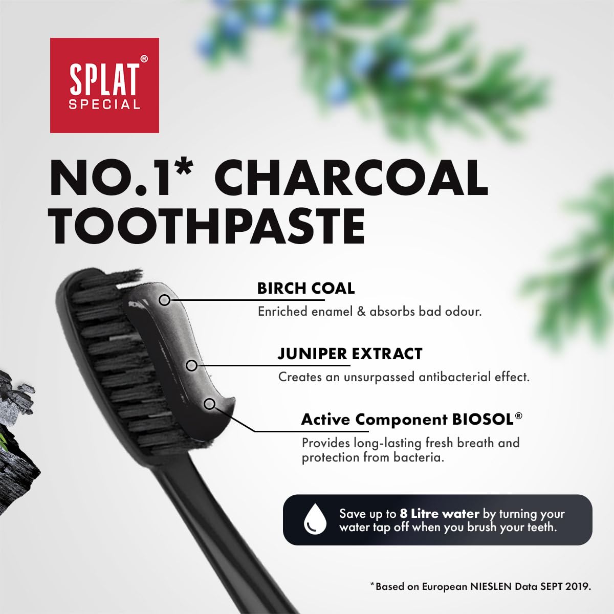 SPLAT® Special Blackwood Activated Charcoal Whitening Toothpaste | Suitable for Vegetarians, SLES Free 75g