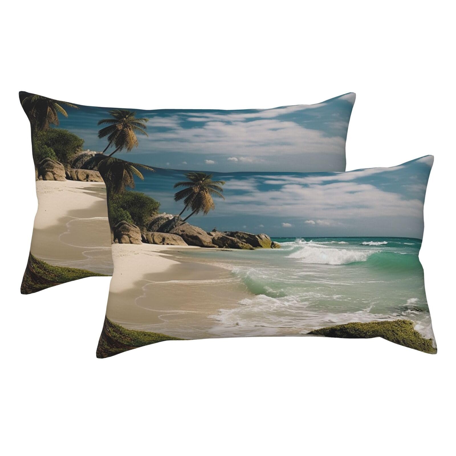 2 Pack King Pillow Cases with Hidden Zipper, Soft Breathable Pillow Covers for Hair and Skin, Beach Ocean Pillowcases 20"x36" Bed Pillow Protectors Cover for Sleeping Gifts