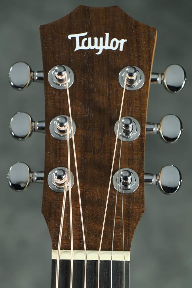 ☆安心の定価販売☆】 Taylor Swift Baby ミニアコースティックギター