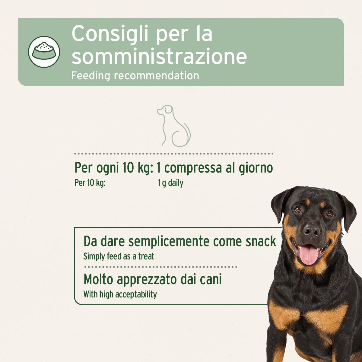 AniForte compresse per articolazioni per cani 300 pezzi - Compresse naturali per articolazioni con cozza dalle labbra verdi, artiglio del diavolo, collagene, glucosamina, condroitina