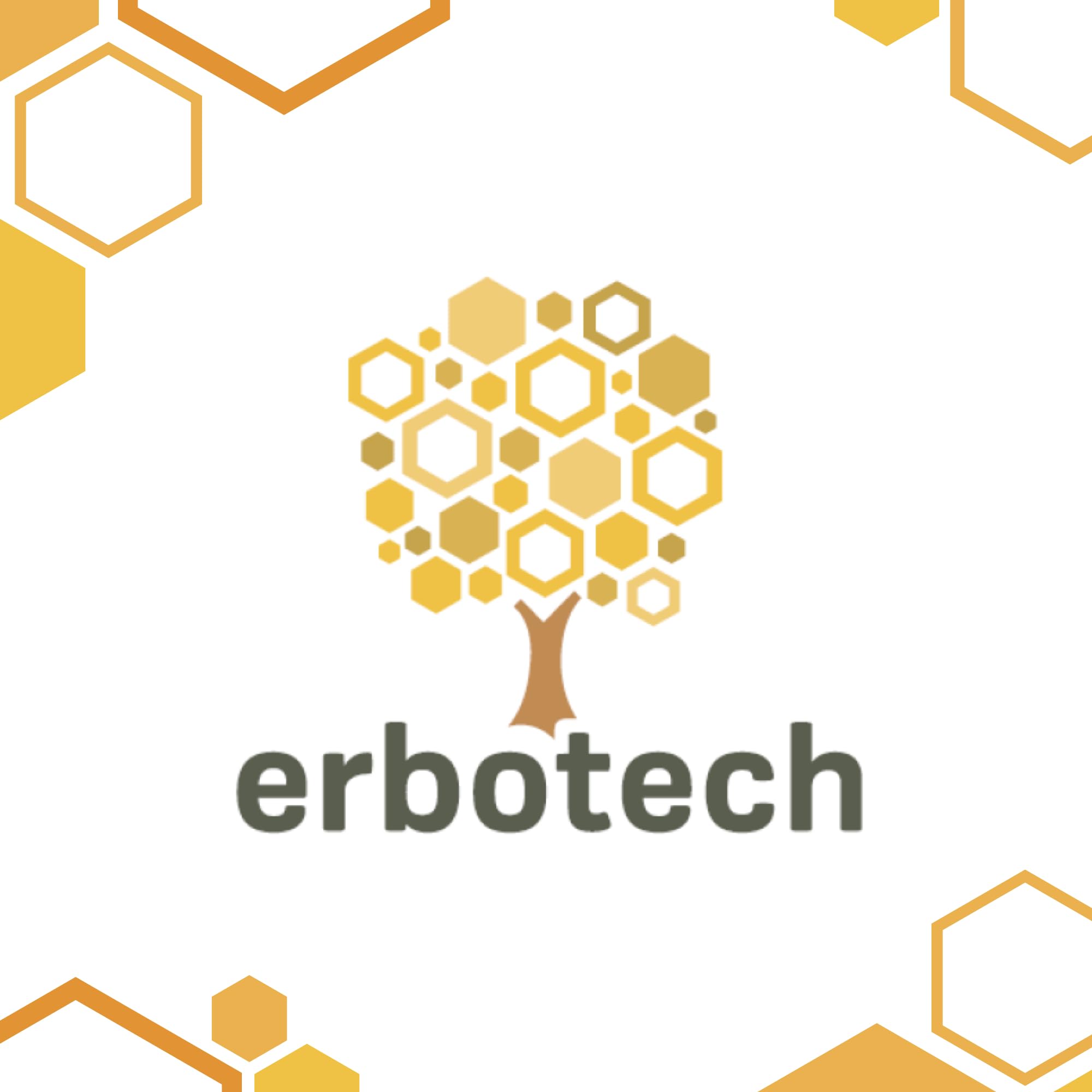 ERBOTECH Curcuma BIO in Capsule, Confezione da 100g, circa 140 Capsule, 100% Pura e Biologica, Concentrata e Senza Addittivi, Integratore Alimentare Naturale, Vegan