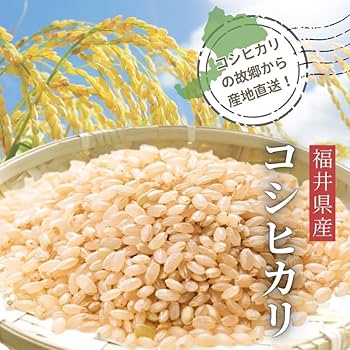 令和6年 三重県産 コシヒカリ 玄米 23kg ② Amazon.co.jp: 玄米 福井県産コシヒカリ 令和6年産 (20kg