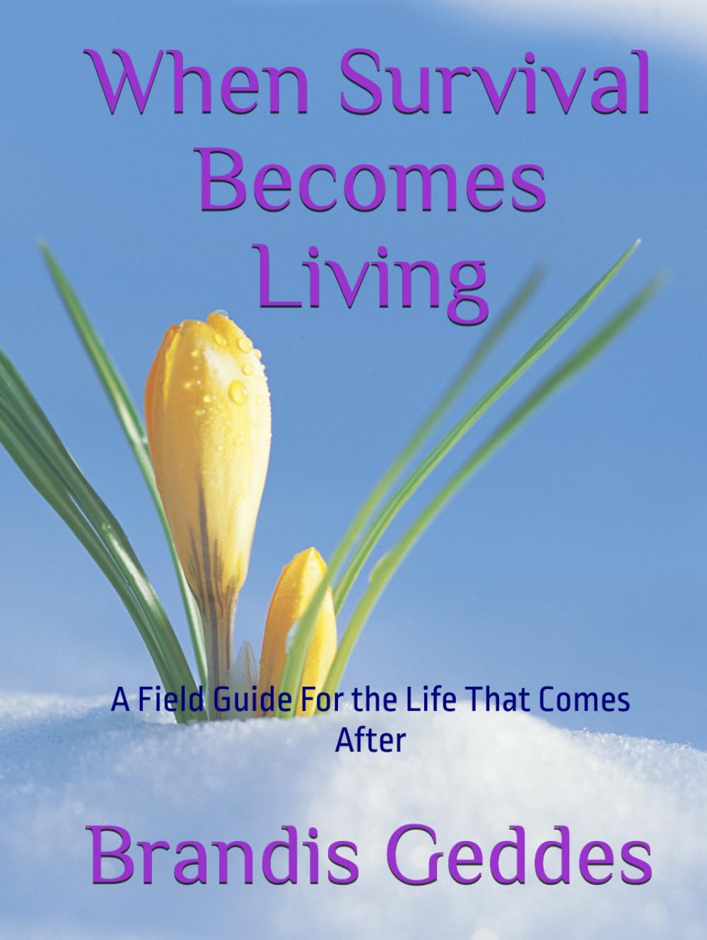 When Survival Becomes Living: A Field Guide For the Life That Comes After