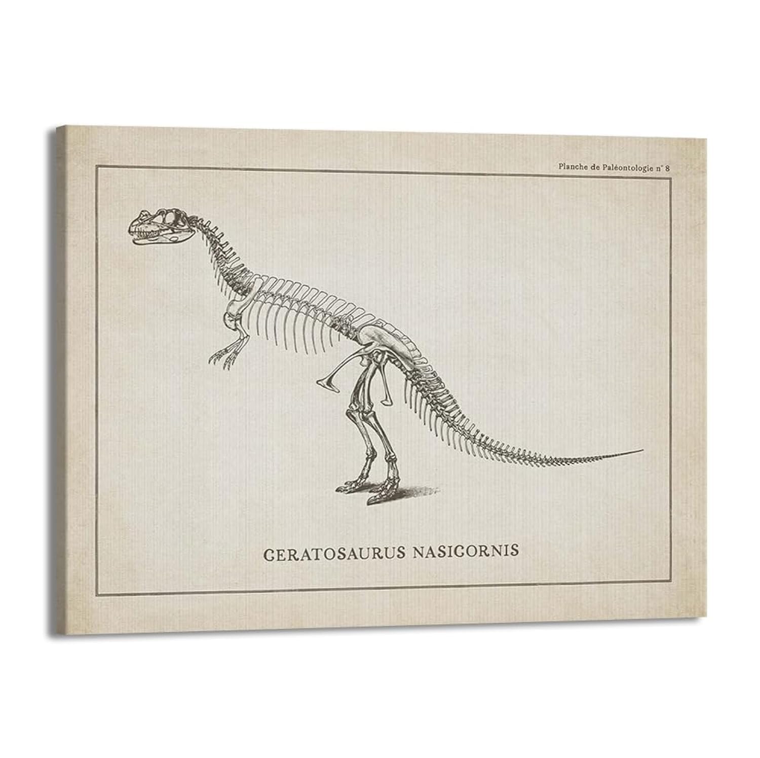 Amazon.co.jp: ヴィンテージ恐竜スケルトン古生物学ウォールアート