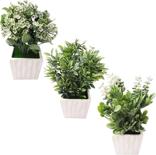 Amazon Medianfield 観葉植物 ミニ 鉢植え 3個セット フェイクグリーン 造花 人工観葉植物 インテリア 小さい 観葉 植物 おしゃれ 雑貨 人工 陶器 鉢 白 フェイク 緑 グリーン ギフト ミニ 鉢 3個 人工観葉植物 オンライン通販