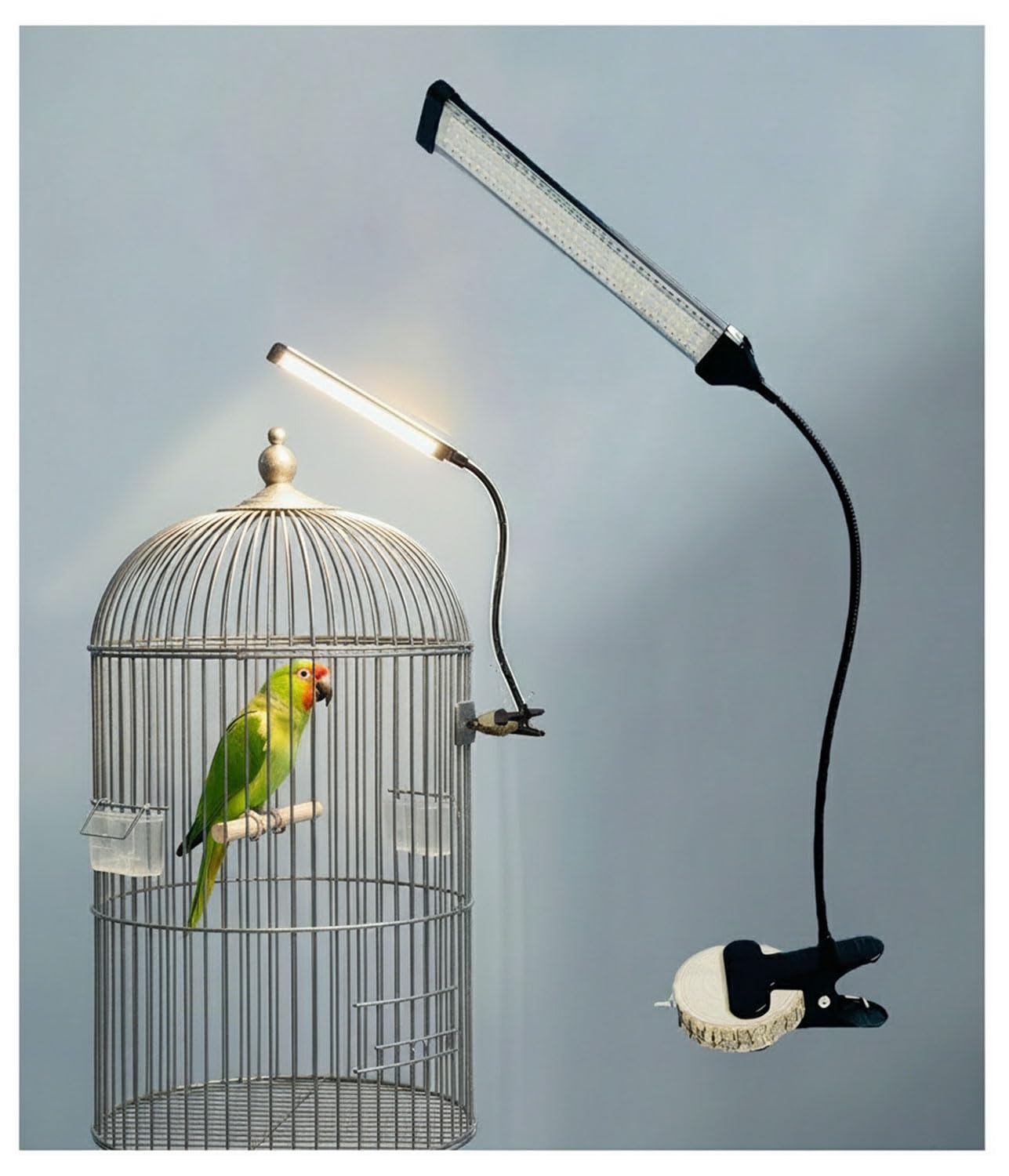 KINGYEENUO Full Spectrum LED Birdcage Light, 10 Brightness Levels & 3/9/12 Hour Timer - 105 LED Beads for Natural Environment Simulation, Safe for Hookbill Birds, Easy to Use