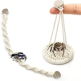 Magnetic Jumping Spider Rope Bridge Swings, 9" Natural Cotton Climbing Rope & 2.36" Woven Swing, Habitat Enrichment Accessories for Phidippus Regius, Easy Setup Spider Enclosure Decor