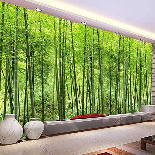 JX^ EH[NX ǎ O[ | X ǉ rO[ er wi z[fR ǉ Papel De Parede 3D-350 * 245cm