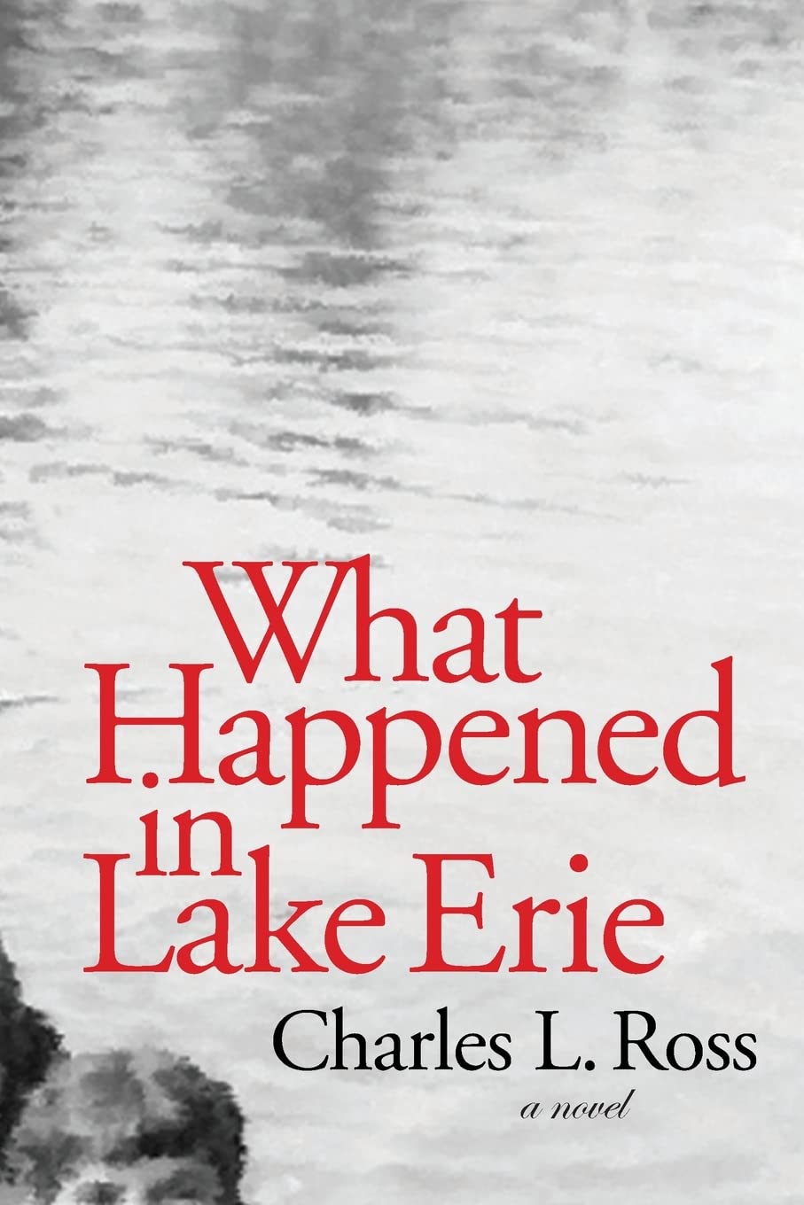 What Happened in Lake Erie: A novel