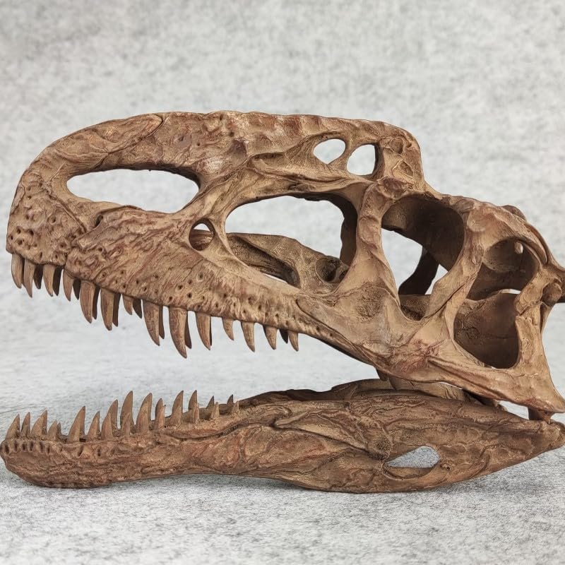 VWUVWU 1:3 Scale Monolophosaurus Skull Model Megalosauroidea Resin Animal Figure Skeleton Collector GK Decor Gift for Adult