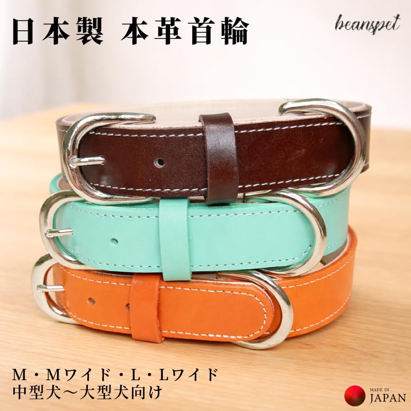 Amazon | Beanspet 犬用首輪 本革 牛ヌメ革 日本製 中型犬〜中・大型犬