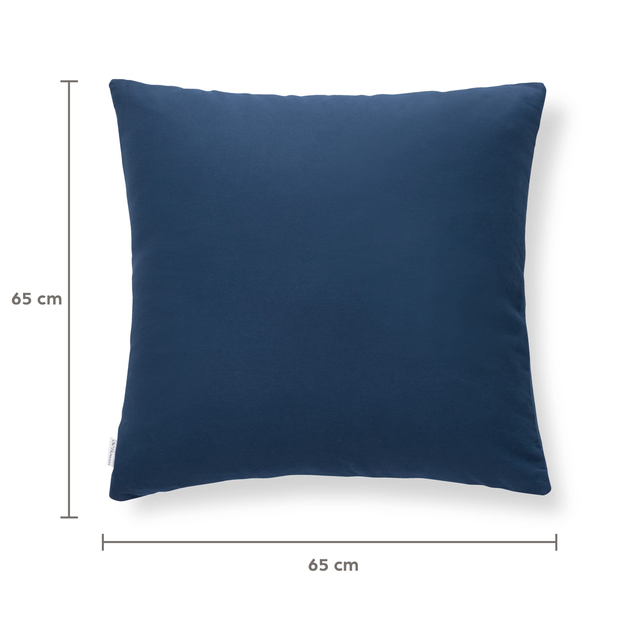 Flowen Federe Cuscini Divano e Letto 65x65 Set 2 Copricuscini Decorativi 100% Cotone Effetto Seta Tessuto Morbido Anallergico Antiacaro e Traspirante Fodere Quadrate per Arredo Moderno Letto e Sedia