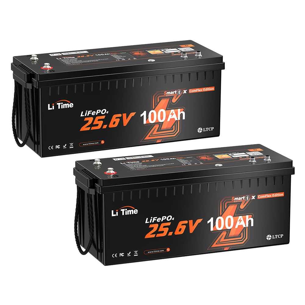 LiTime 2 Pack 24V 100Ah Communication Lithium Battery for Victron Cerbo GX