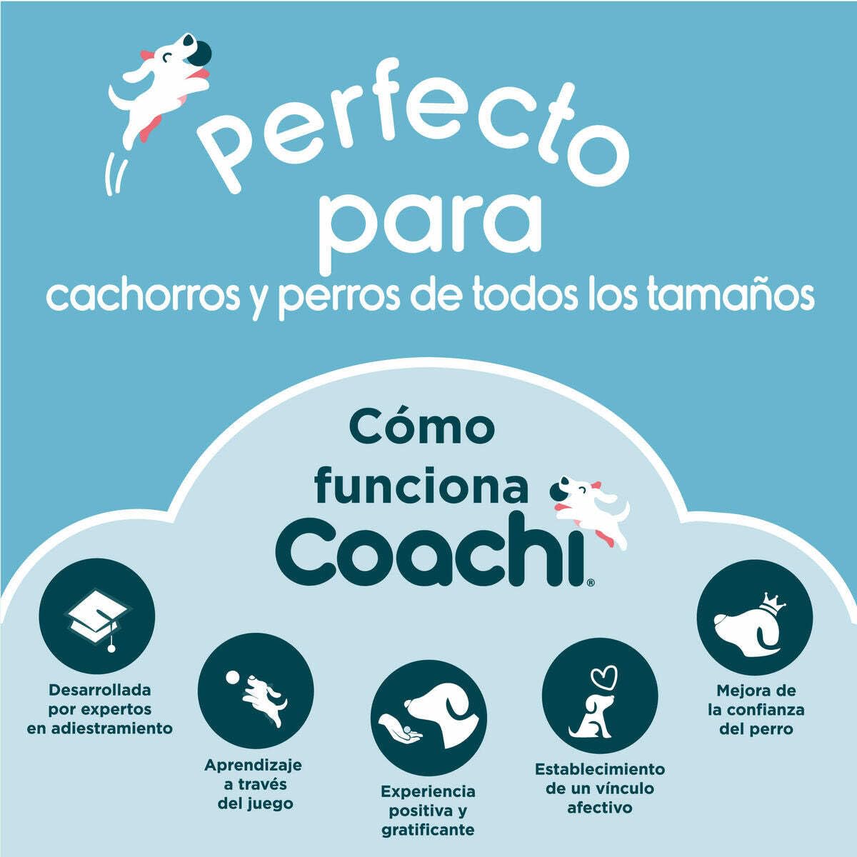 Coachi Train & Treat Saszetka na przysmaki | Granatowy/Koral | Kieszeń na zamek, zamknięcie ze ściągaczem, zaczepy do paska, pasa spodni lub kieszeni. Idealna na spacery z psem i treningi