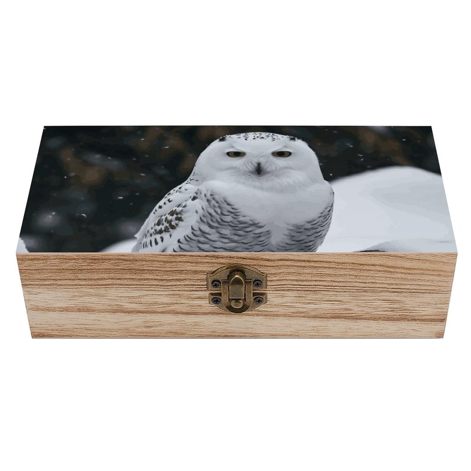 asbwuo Snow Owl Wooden Keepsake Box Storage Boxes with Hinged Lid