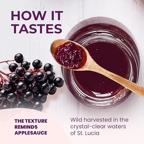 Miniatura 5 de Gel de musgo marino (16 onzas) hecho de St Lucia Gold Wildcrafted orgánico Seamoss cosechado silvestre sin gluten, superalimento sin OMG con todas