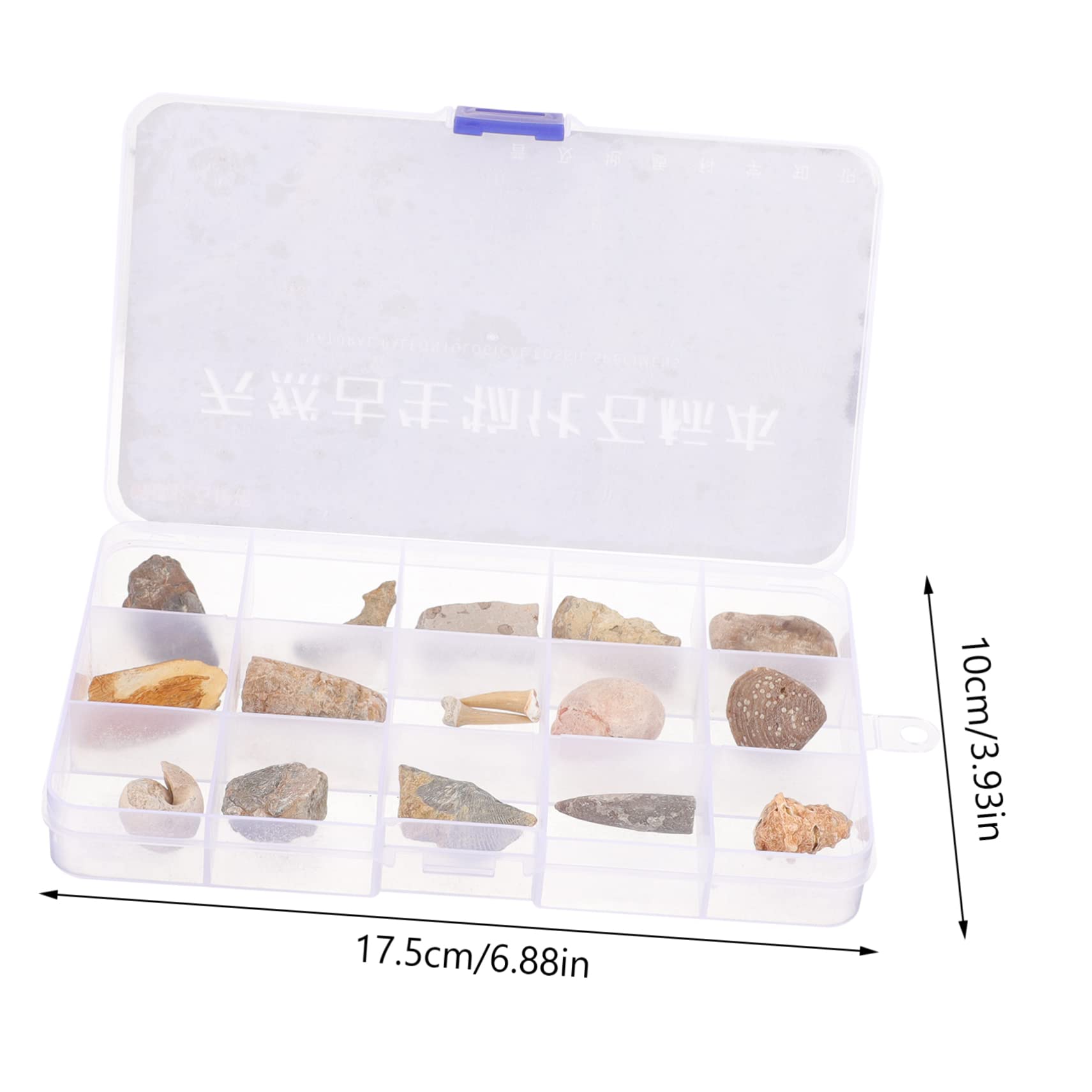 Cabilock Educational Specimens Real Trilobite Set Home Decor Boys and Girls Toys Safe and Natural Model Collection