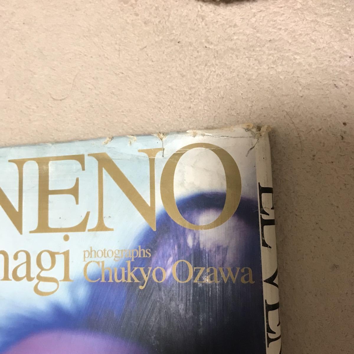 ☆♦期間限定♦レア物→小柳ルミ子写真集 Amazon.co.jp: 小柳ルミ子写真集 : 本