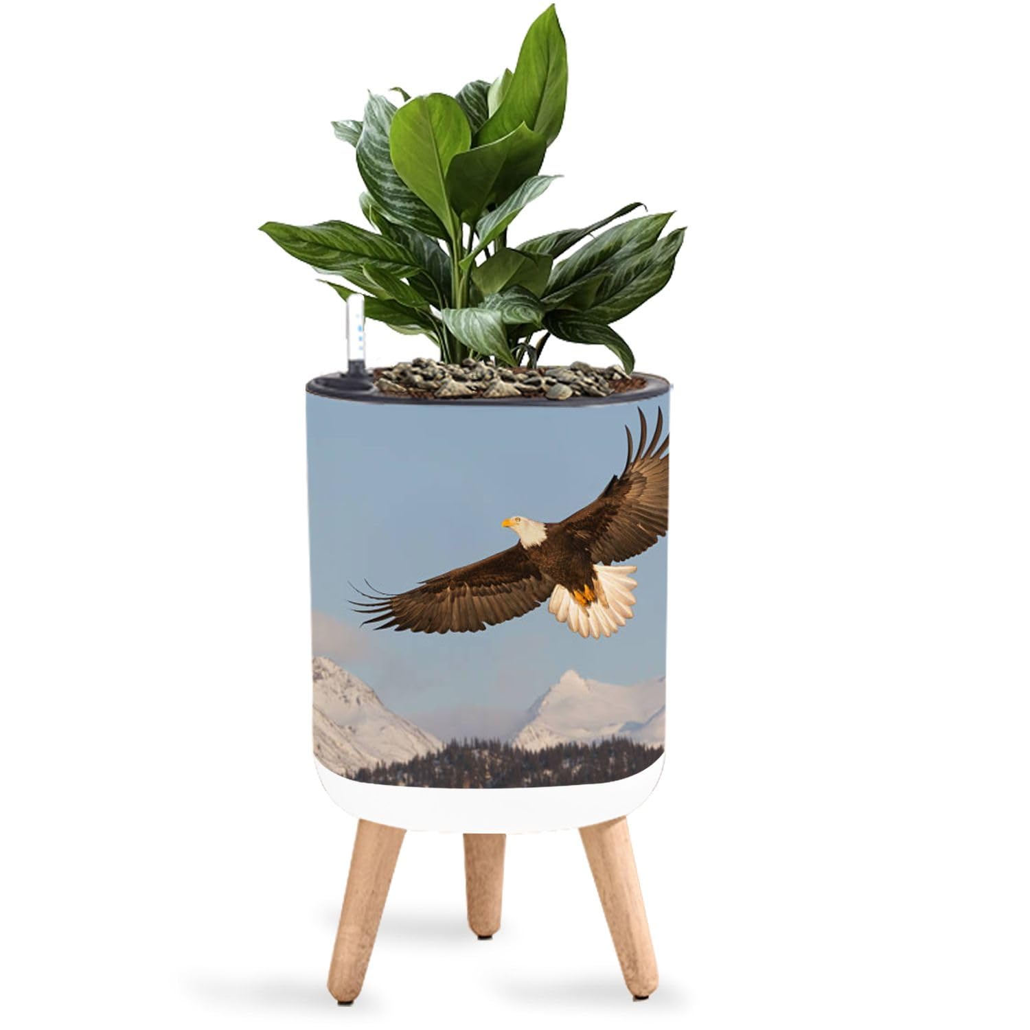 Amazon.com : JWHFZMANPYK 8.7