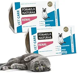 Kit Com 2 Rações Úmidas Fórmula Natural Renal Patê Para Gatos Tratamento Recuperatório