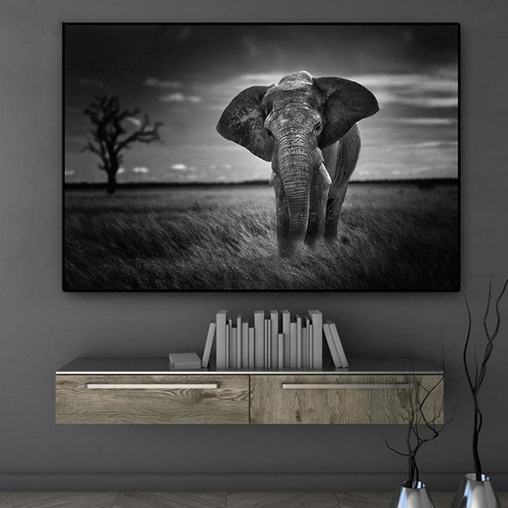 Licnay Diamond Painting Éléphant Blanc Noir Kit Complet Licnay Diamond Painting Éléphant Blanc Noir Kit Complet