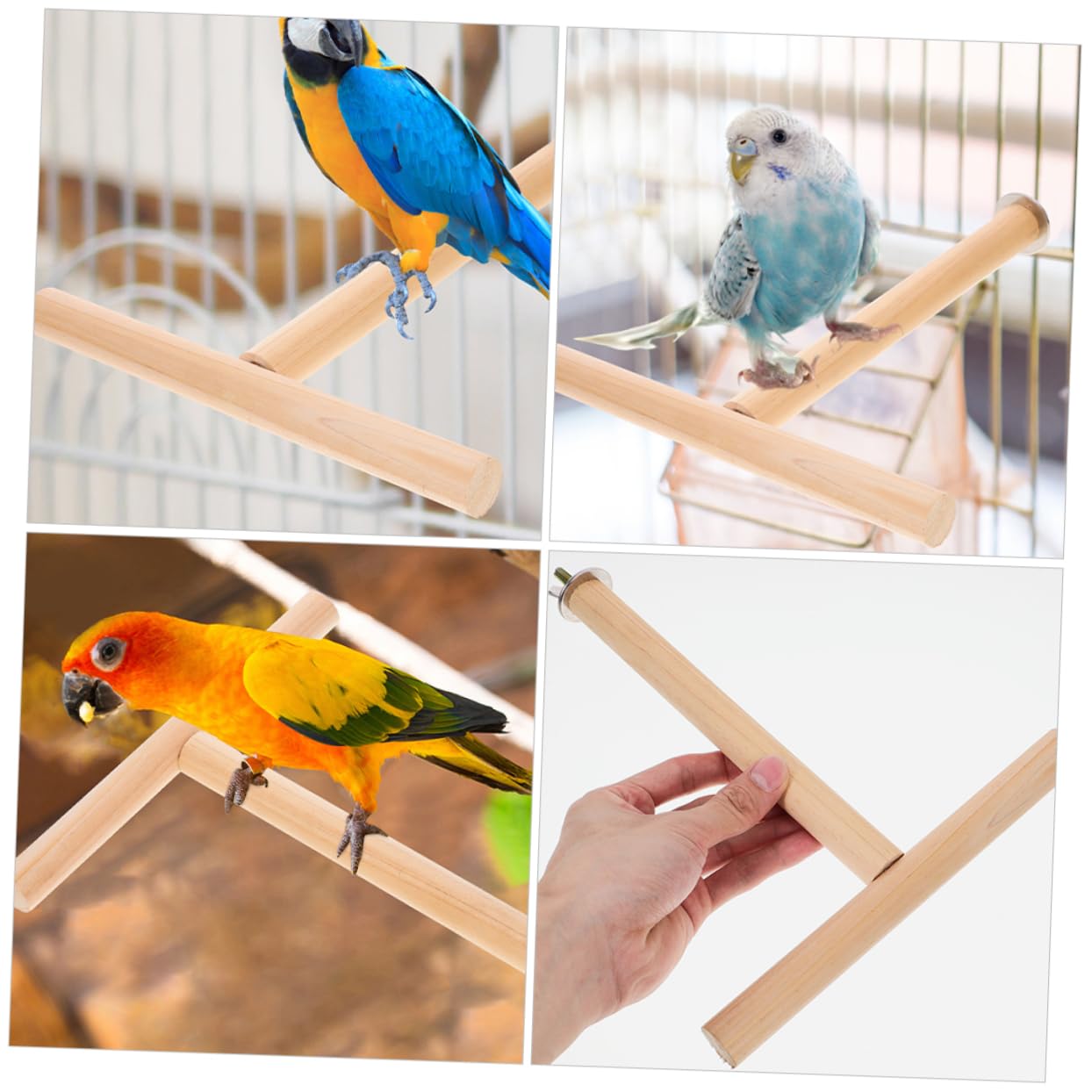 Toddmomy 8piezas Percha para Aves De Madera Natural Soporte para Periquitos y Juguetes para Pájaro para Ejercicio y Descanso