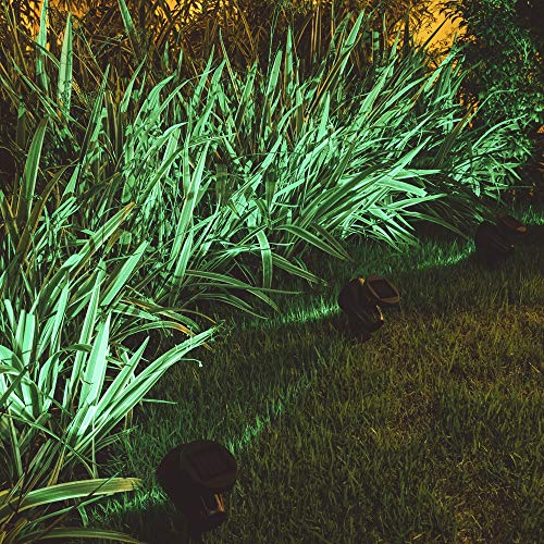 Kit 10 - Luminária Solar Spot Refletor LED Verde com Espeto de Jardim