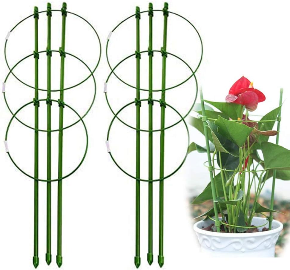 2 Pack Small Plant Support Cages, Indoor Tomato Cages Trellis, Vine Garden Plant Stakes with Support Ring for Climbing Plants Potato Flowers Vegetables Fruit Outdoor Gardening Planting(17 Inch)
