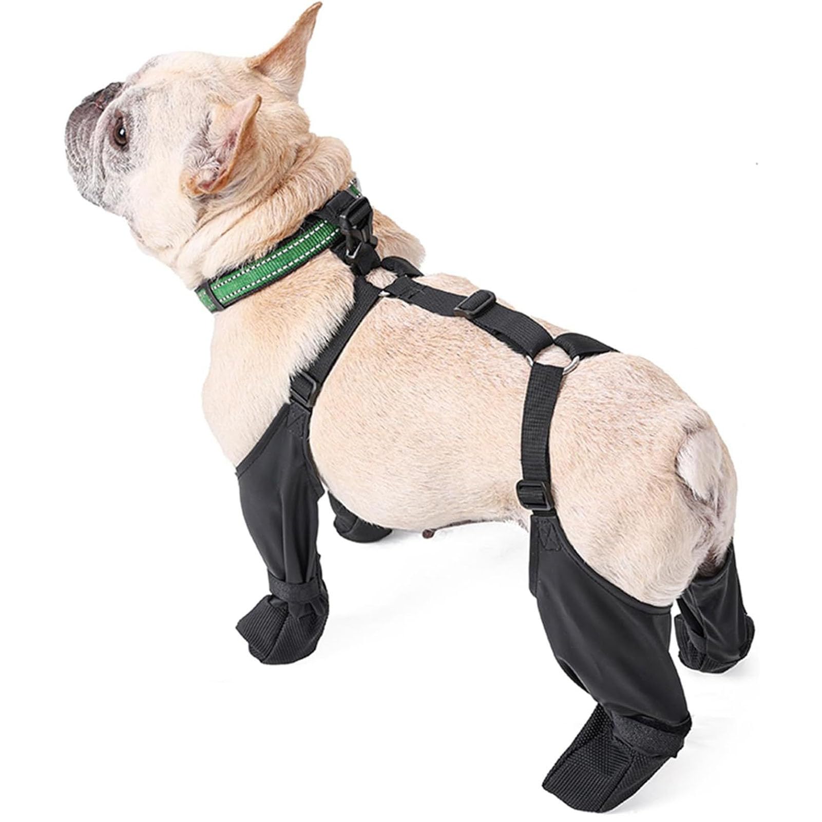 Bottes pour chien avec leggings M protègent les pattes de votre animal en hiver