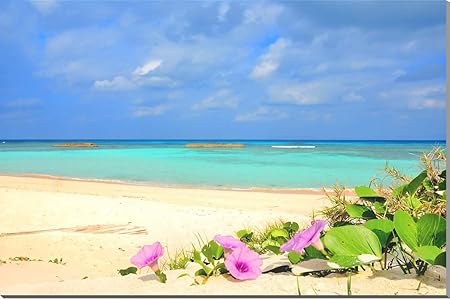 Amazon Co Jp 沖縄 波照間島の海とハマヒルガオ2 風景写真パネル 91cm 60 6cm Ht 001 2 M30 アートなディスプレイや模様替え タペストリーなどに 新築祝い 出産祝い 結婚祝い プレゼントに喜ばれます ホーム キッチン Amazon Co Jp 沖縄 波照間島の海とハマヒルガオ2 風景写真パネル 91cm 60 6cm Ht 001 2 M30 アートなディスプレイや模様替え タペストリーなどに 新築祝い 出産祝い 結婚祝い プレゼントに喜ばれます ホーム キッチン