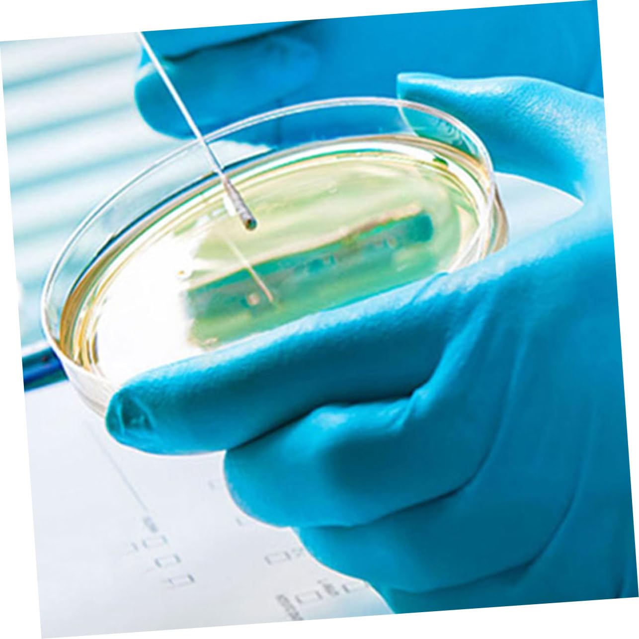 PRETYZOOM 5 Set Piastra Petri in Plastica Coltura Cellulare Tessuto Piastra Di Coltura Tissutale Piastra Di Trasferimento Attrezzatura Di Laboratorio Piastre Da Laboratorio 10 Pezzi * 5