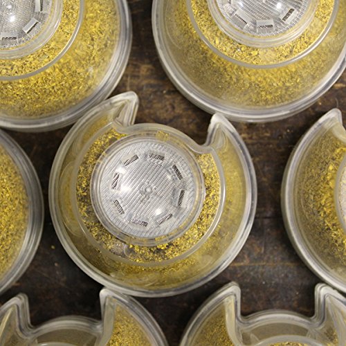 Speakman S-2005-Hbf Hotel Pure Luxury Filtered Shower Head With Massage Setting, 2.5 Gpm, Polished Chrome #TOP6