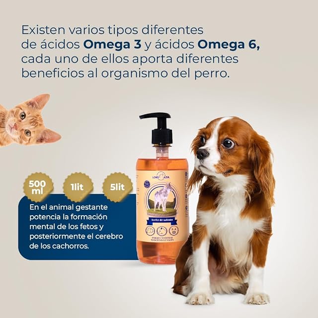Foto 4 de 6 de Aceite de Salmón para Perros y Gatos