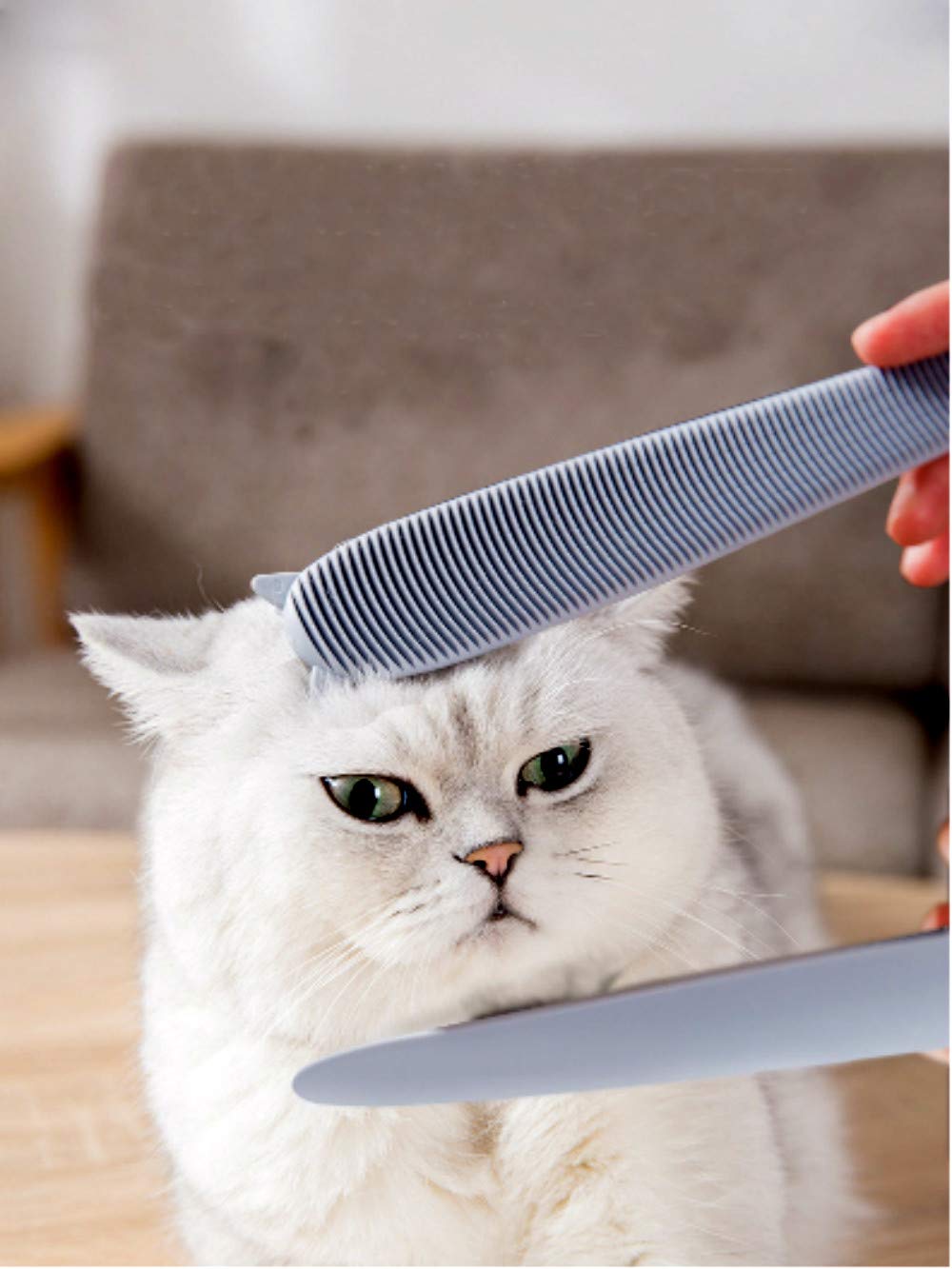 Ulalaza Barbed Cat Comb Simulated Cat Tongue Brush ideal for Massage and Sensitive Skin