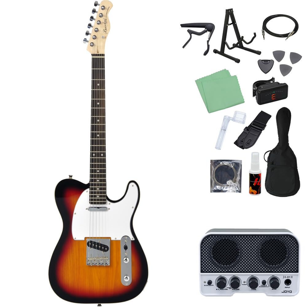 最終値下げ】Bacchus テレキャスター BTC-1R BLK おまけ付き  