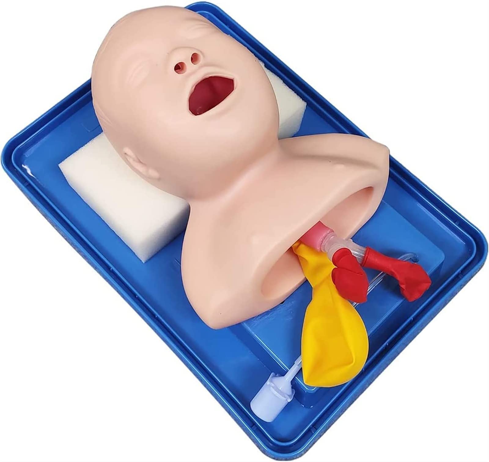 WlP Intubazione tracheale avanzata Modello PVC Intubazione pediatrica Manichino Tracheal Child Airway Trainers Nurse Lab Intubazione endotracheale Insegnamento