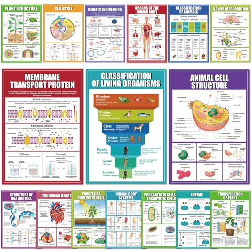 EggSun 16 Pcs Biology Science Posters for High School Classroom Decorations, 11 x 16in Life Science Poster Charts for Teachers Middle School Supplies Education Classroom Bulletin Board Wall Decor