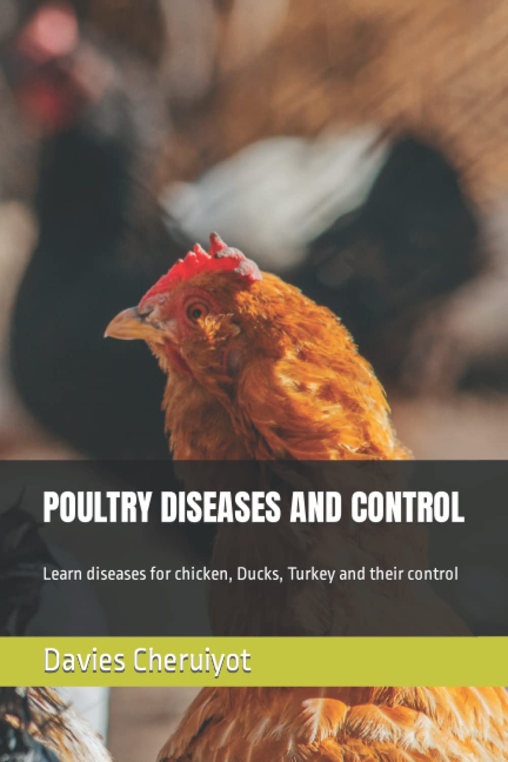 POULTRY DISEASES AND CONTROL: Learn diseases for chicken, Ducks, Turkey and their control