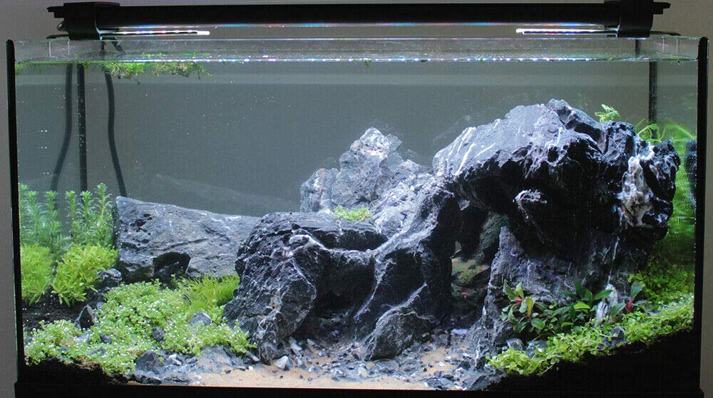 View 5