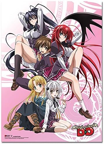 HIGH SCHOOL DXD 60199 Wall Scroll Poster, 31", Multicolor