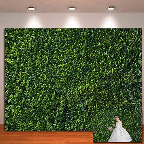 Fondo fotográfico HQM hojas verdes 5x3 FT miniatura 2