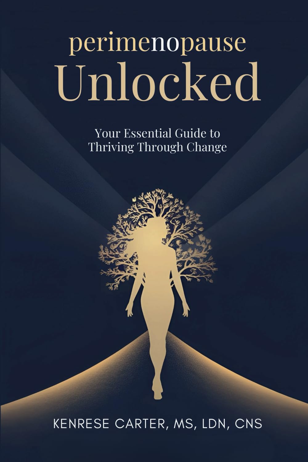 perimenopause Unlocked: Your Essential Guide to Thriving Through Change