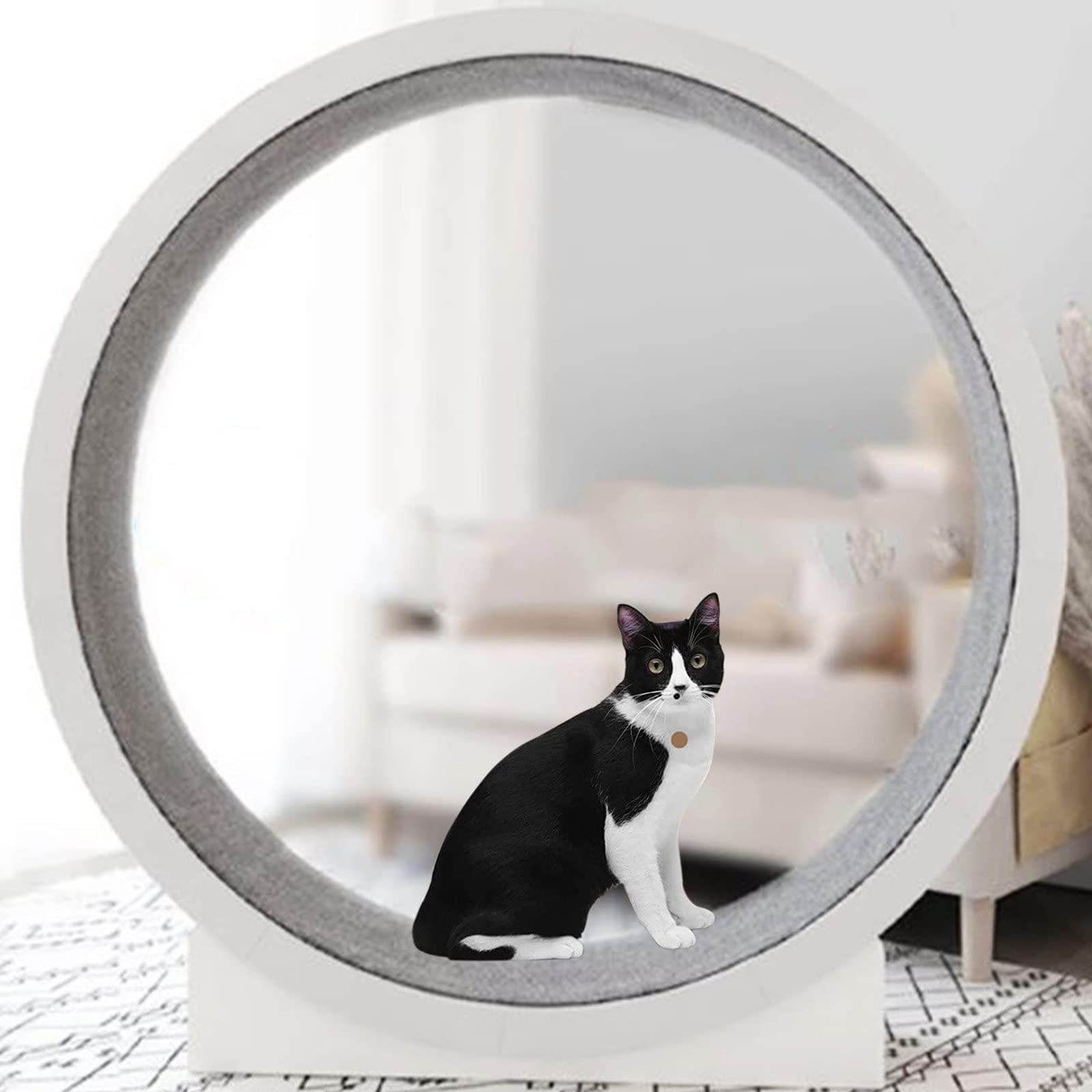 Ruota Gatti Correre Gatti Adulti Che Corrono Wheel Walker/Criceto Domestico Che Esercita Tapis Roulant in Esecuzione, Legno, Tapis Roulant per Gatti Grandi Dimensioni/Ruote per Esercizi