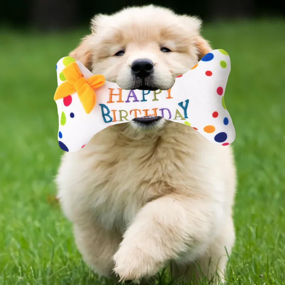 ZJchao Gâteau D'anniversaire Pour Chien, Jouet Couineur En Peluche